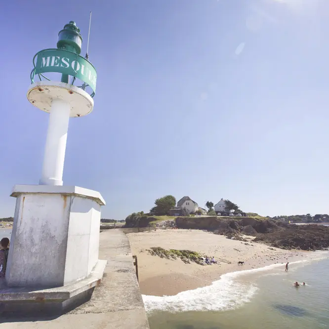 fiche-12_Mesquer_Pointe-de-Merquel©Teddy-Locquard-2023