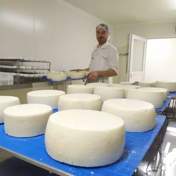 Les fromages de la ferme de choupette