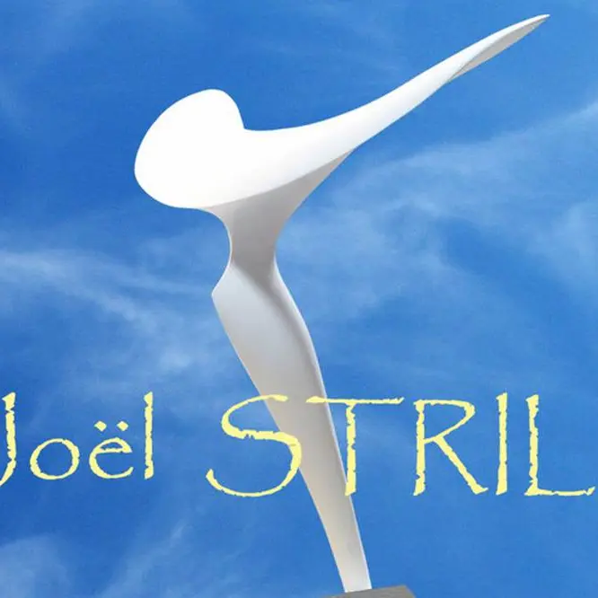 Joël-Strill-Vannes-Morbihan-Bretagne-Sud