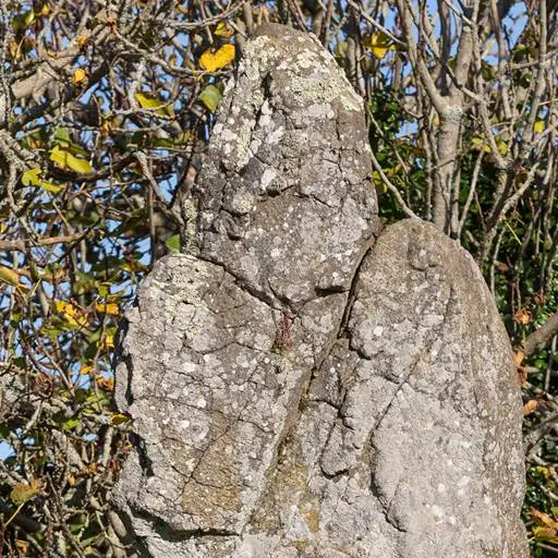 Kergonan-Ile-aux-Moines-Morbihan-Bretagne-Sud