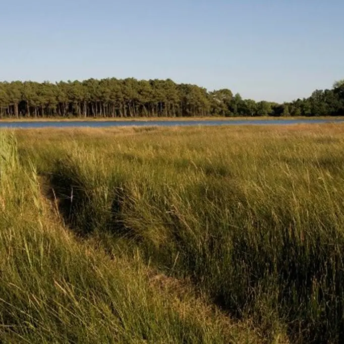 Forêt et Pointe du listoir - Landévant - Morbihan Bretagne Sud