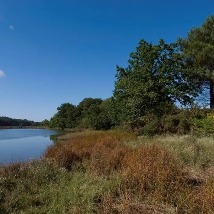 Forêt et Pointe du listoir - Landévant - Morbihan Bretagne Sud