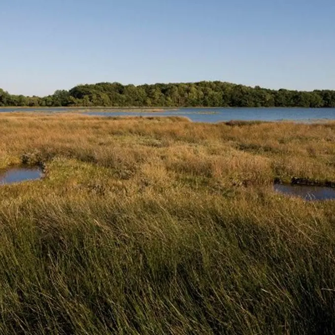Forêt et Pointe du listoir - Landévant - Morbihan Bretagne Sud
