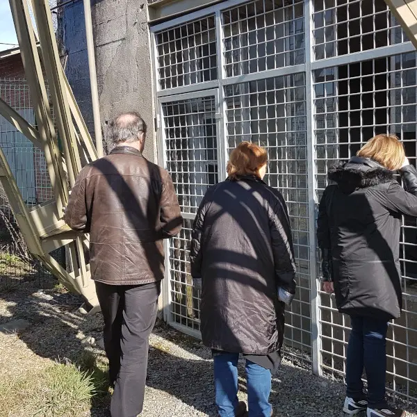 mines-montbelleux-luitre-2017©MROINSON (18)800x600