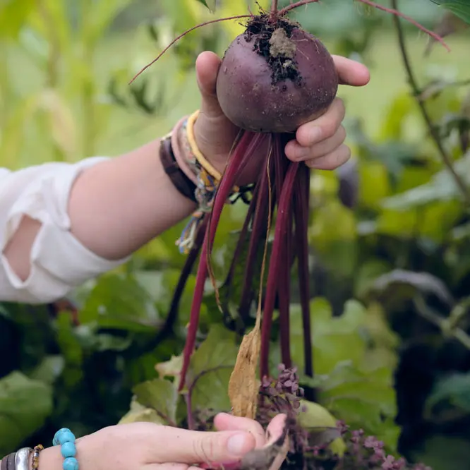 Auberge les filles en bottes