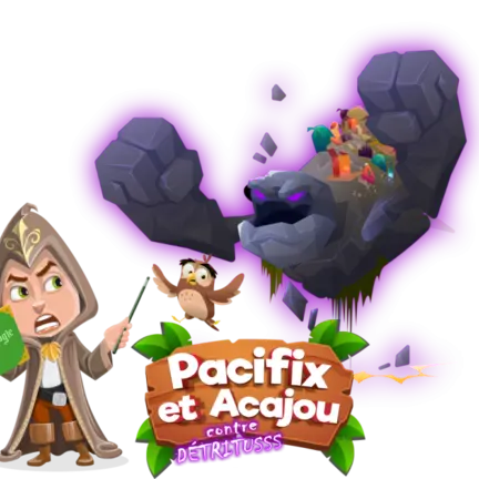 pacifix-et-acajou-768x663