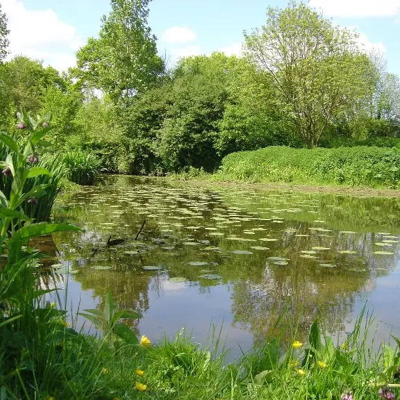 Le site naturel de Pasdavy à Servon-sur-Vilaine
