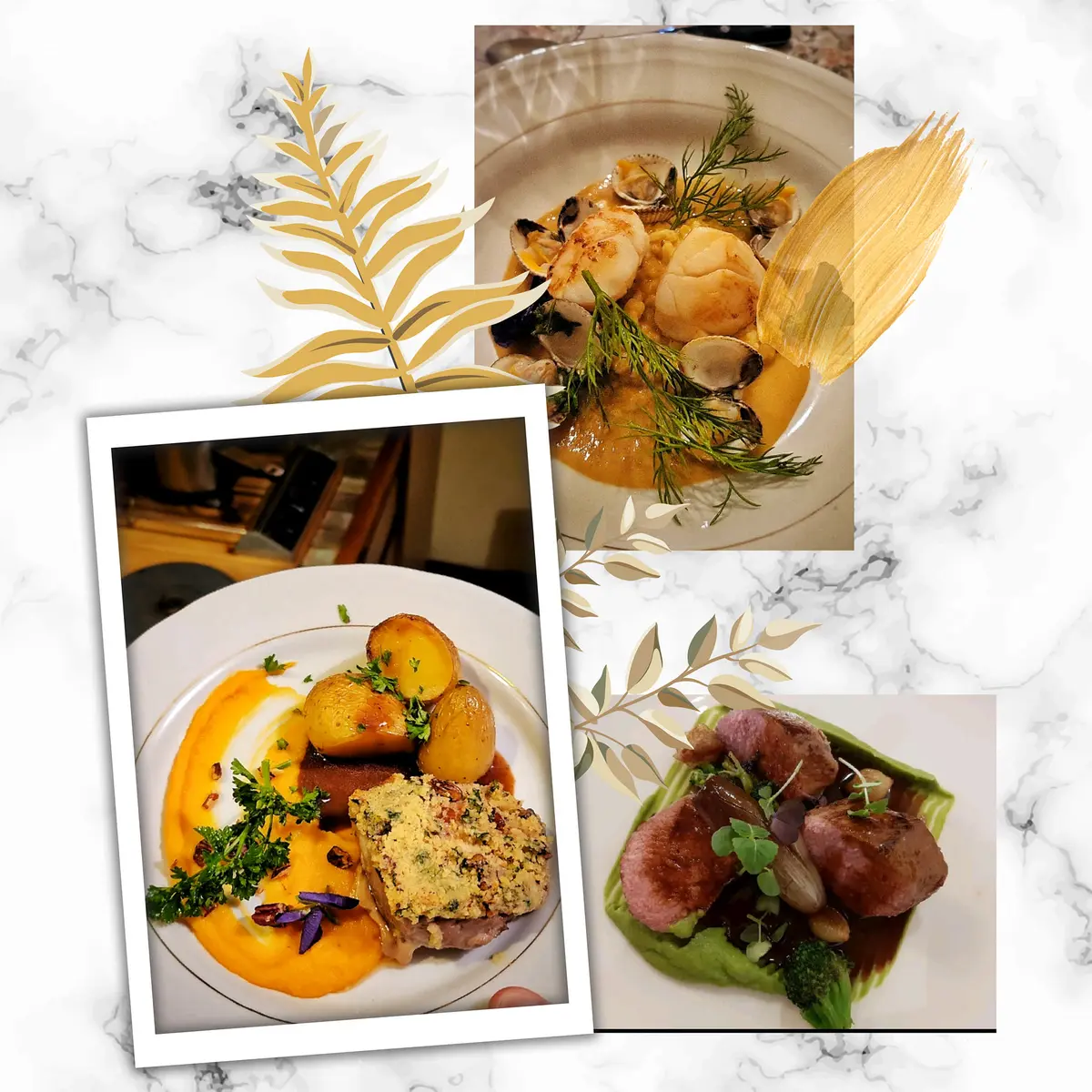 photo assiettes - La Popote de Marie