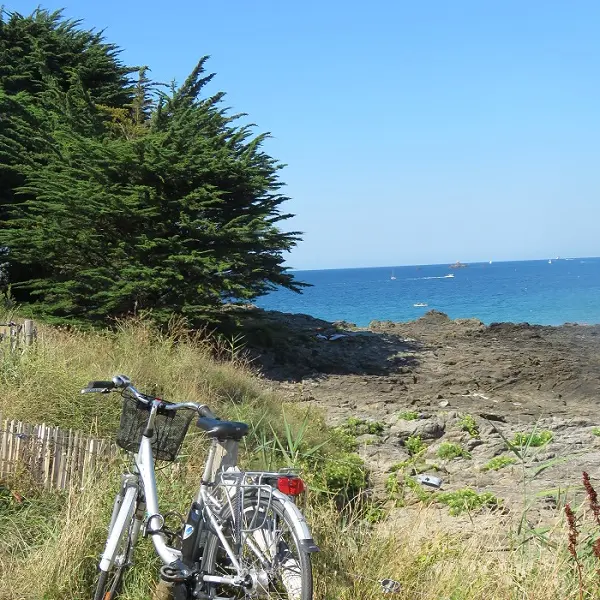 plage-du-tertre-pele--1-