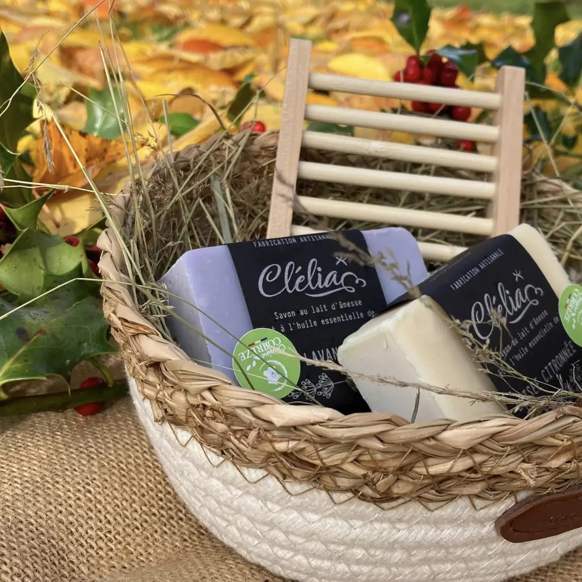 403863083_729137345903848_2798114168558735365_n