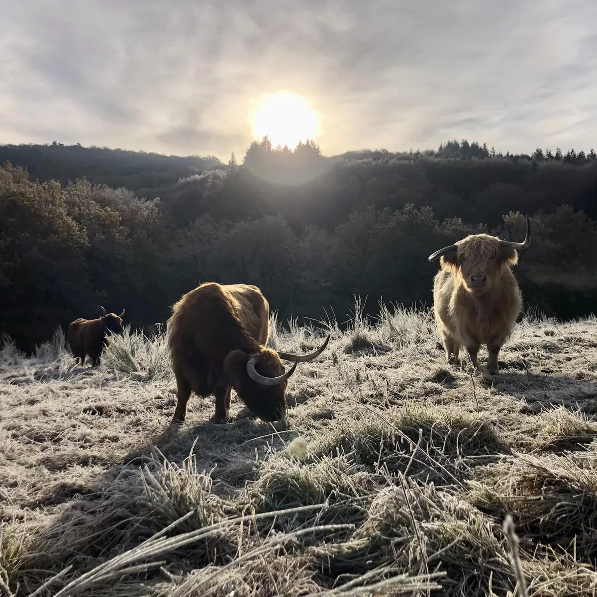 481659462_122094454772794030_5620822291283292339_n