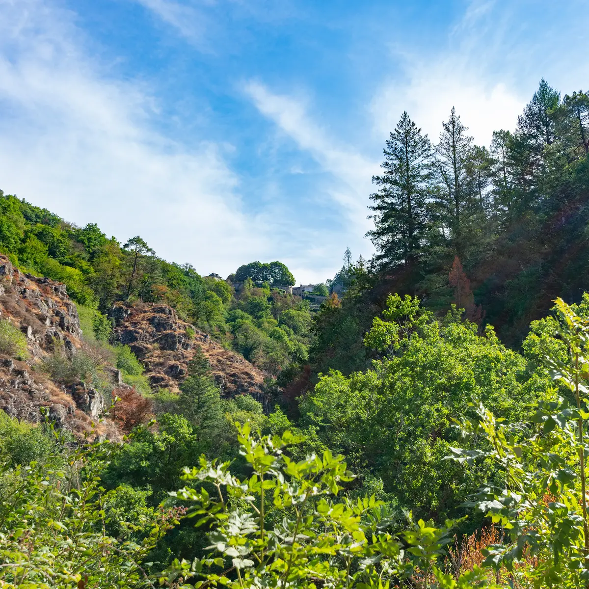 52390523566_82ba695e6c_k