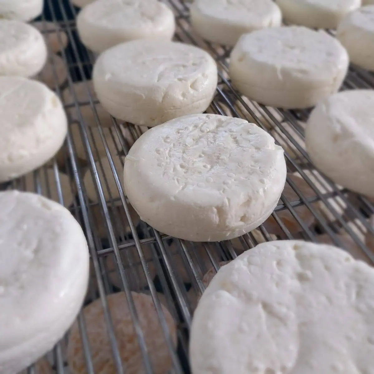 Les Fromages au lait de vaches