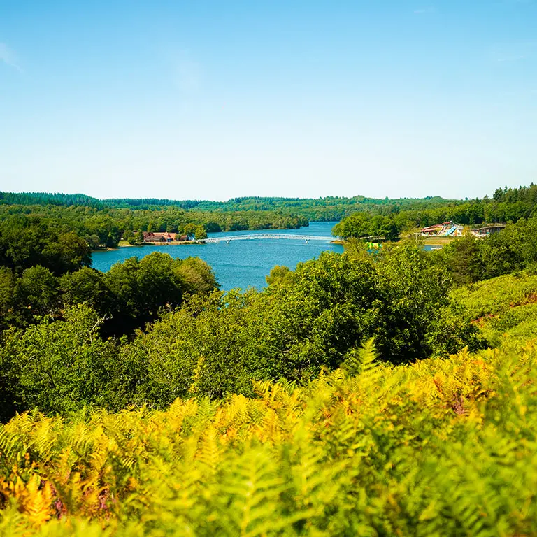 Vue sur le lac de Saint-Pardoux