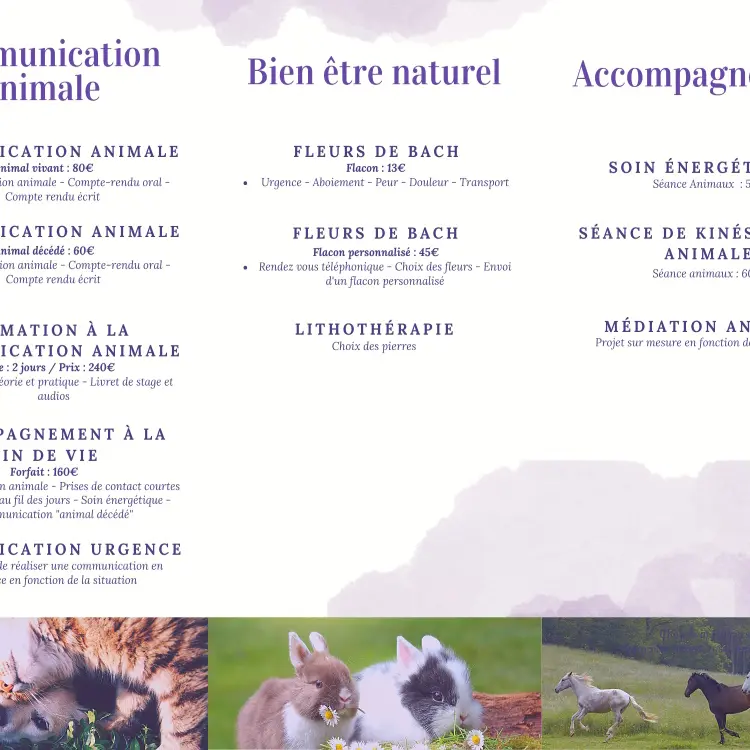 ©Lumière Animale (4)
