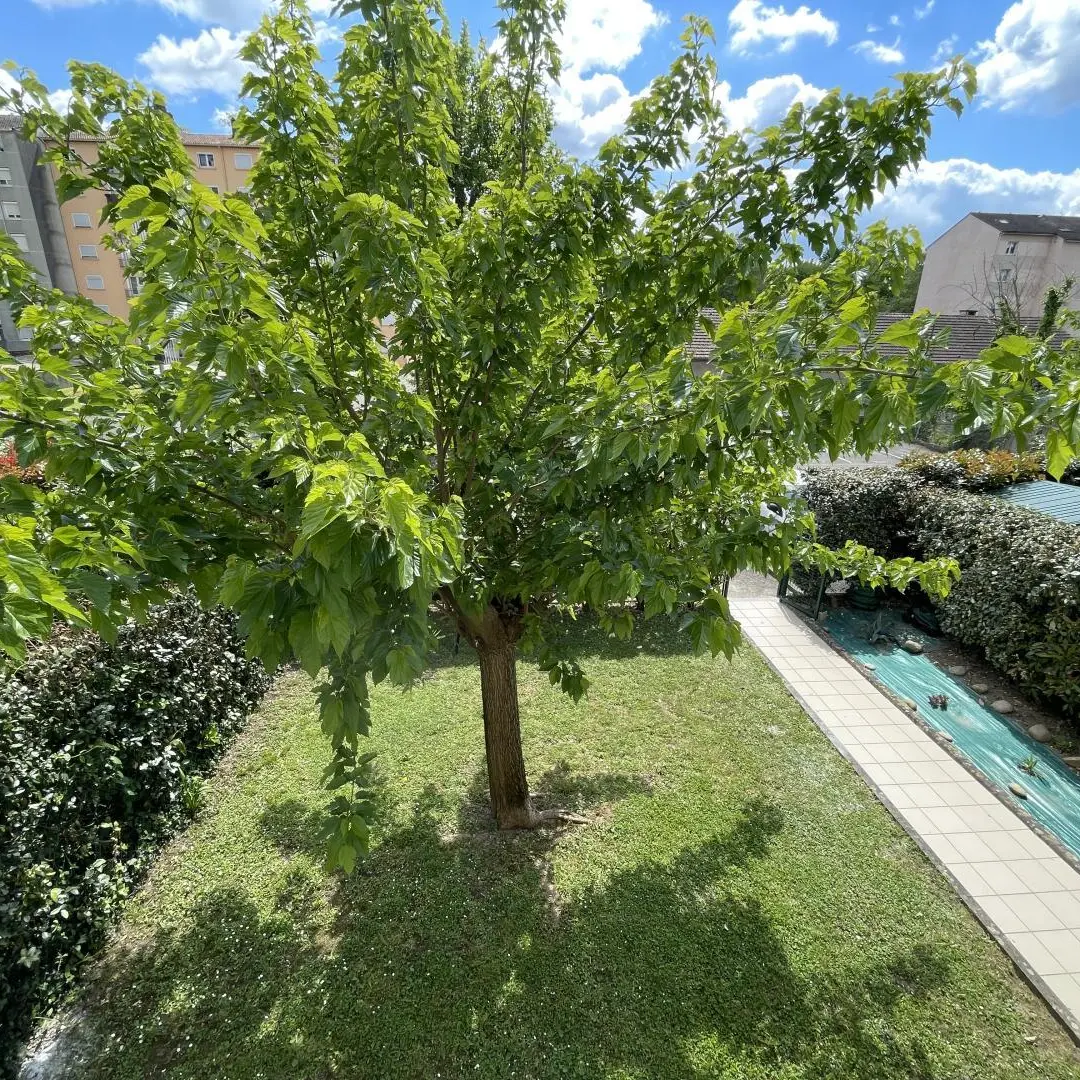 -pau-duplex-villa-2-pau-pays-bearn--ref--G8210132