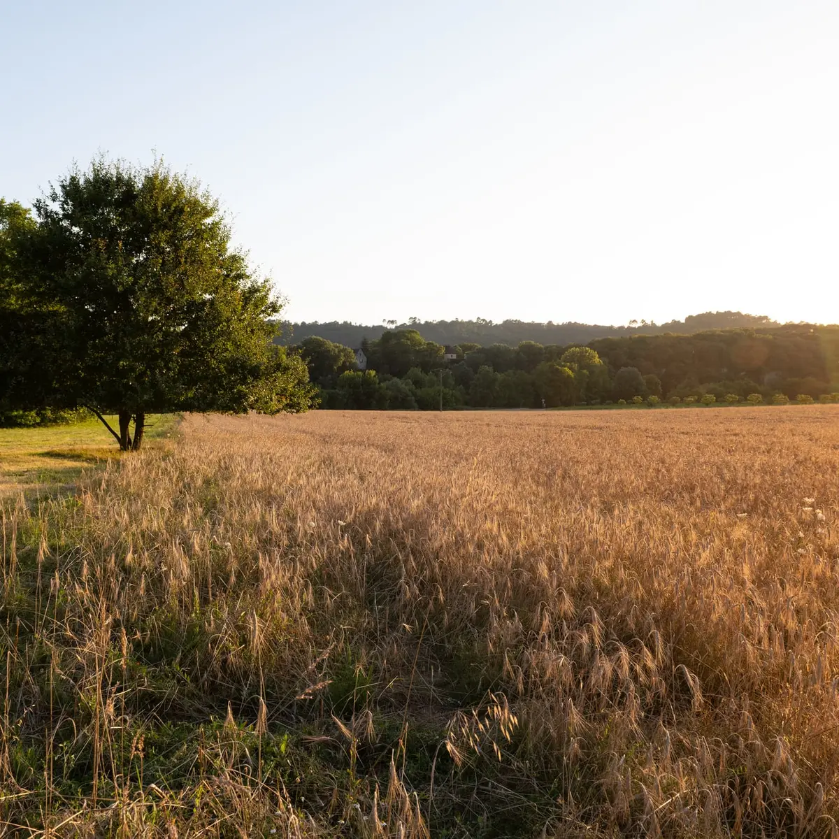 01-Ete-Tursac-InstapadesStudio-0339-2000px