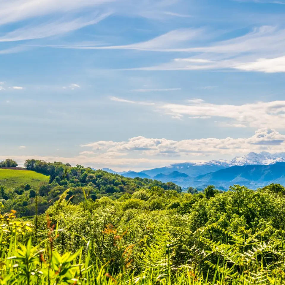 Pyrénées Bosdarros