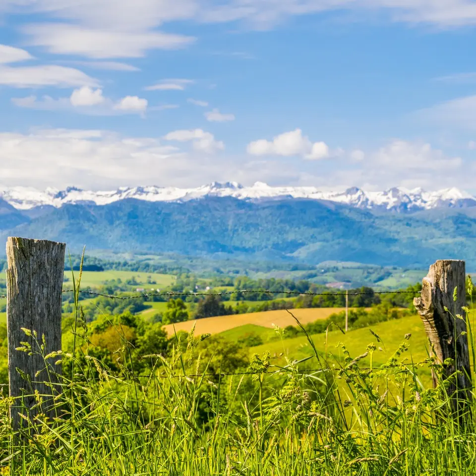 Pyrénées Bosdarros