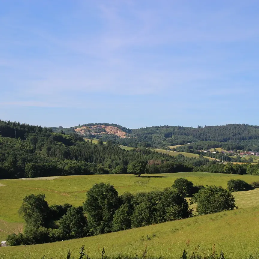 1. Panorama