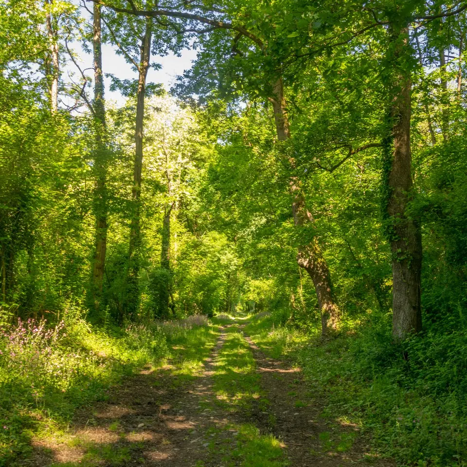 Poey de Lescar - malapet - chemin  Malapet