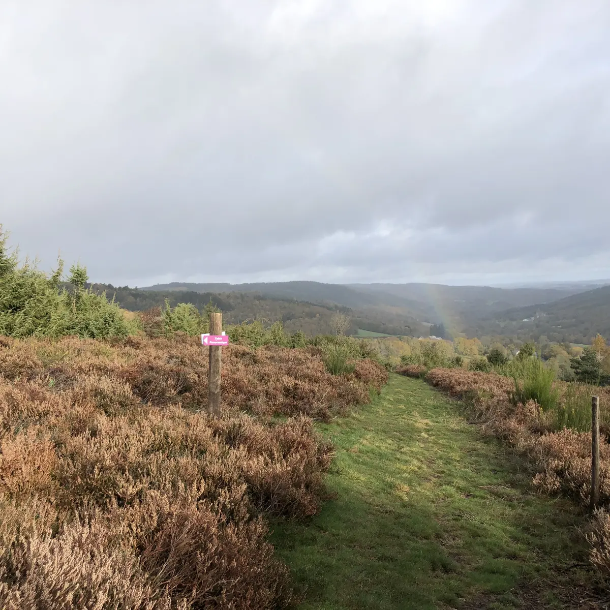 12-13 Pluie après - Arc-en -ciel Puy Raynaud - @SL