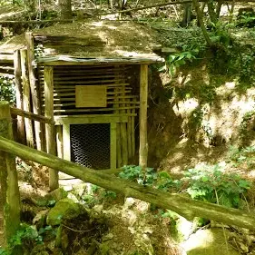 En poste dans la forêt de Boubon4