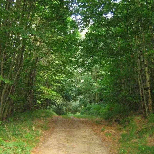 Sentier Les Chevreuils_2