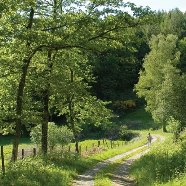 Chemin de Paris_1