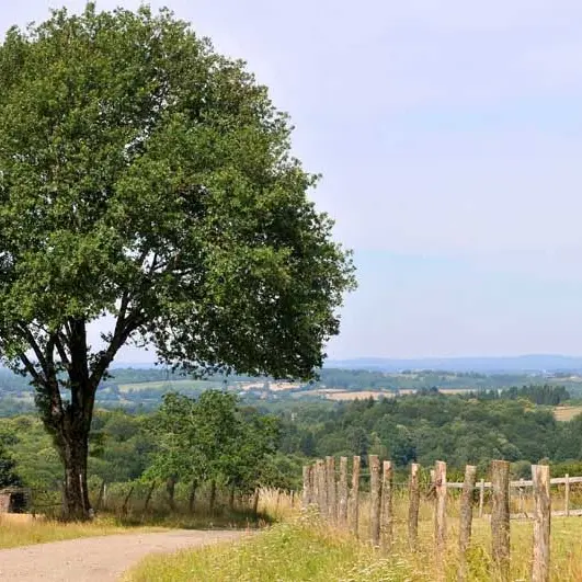 Sentier Les Tupes_1