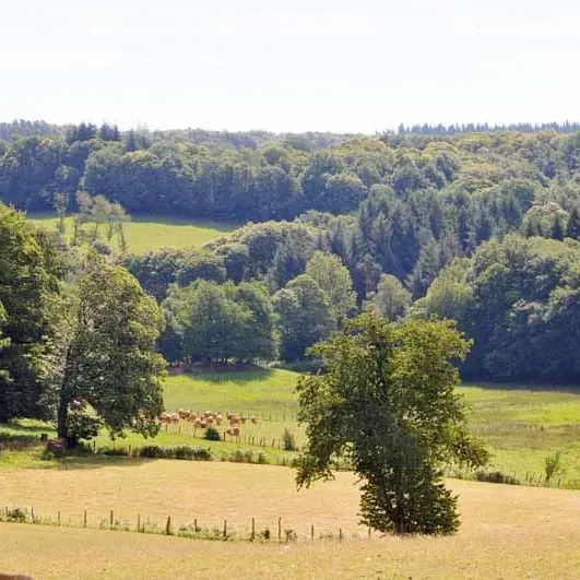 Sentier Les Tupes_2