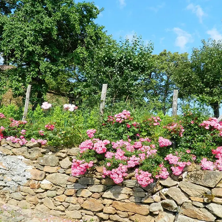 Sentier du dolmen_2