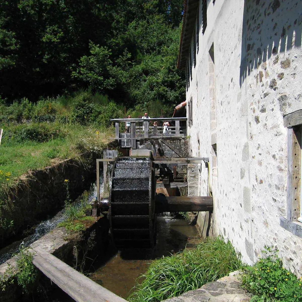 Sentier de Brignac au Moulin du Got_3