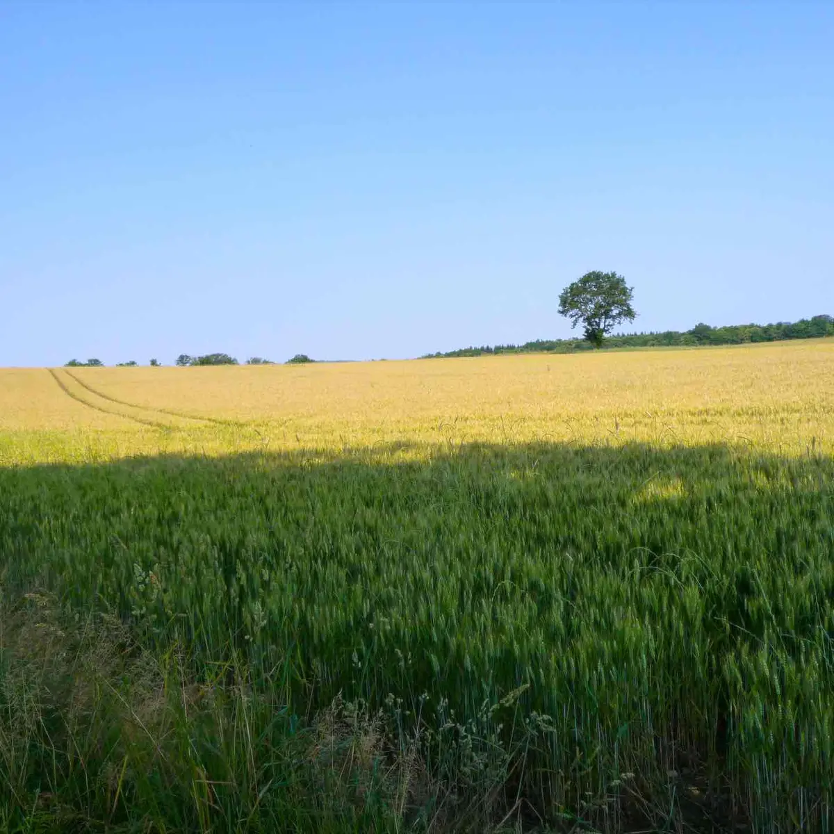 Sentier du Moulin Chabrou_2