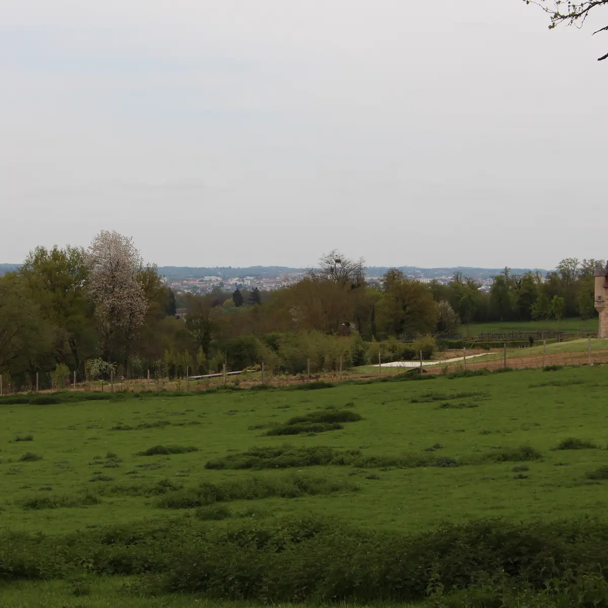 paysage_4