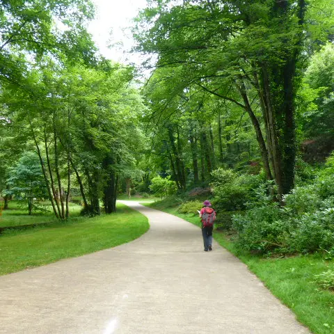 Boucle de Limoges à Saint-Pardoux Coeur de Nature (étape 5)_2