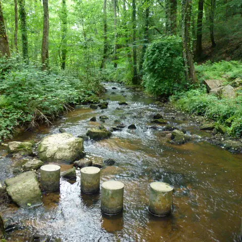 Boucle de Limoges à Saint-Pardoux Coeur de Nature (étape 5)_3