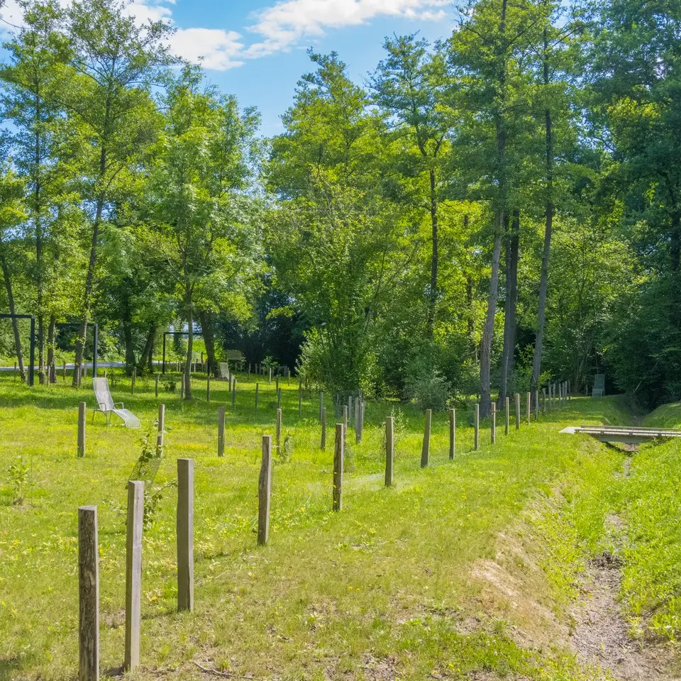 Aire de pique-nique - Beyrie en Béarn - le site 3