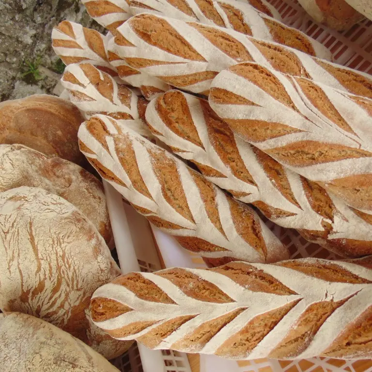 Four à pain de l'île de Vassivière_3