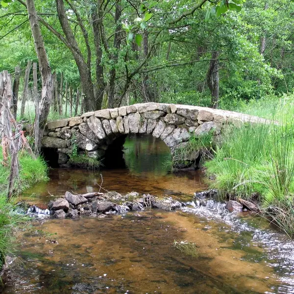 Le pont des Granges_3
