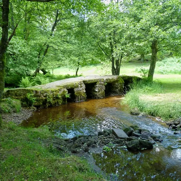 Pont médiéval dit romain_1