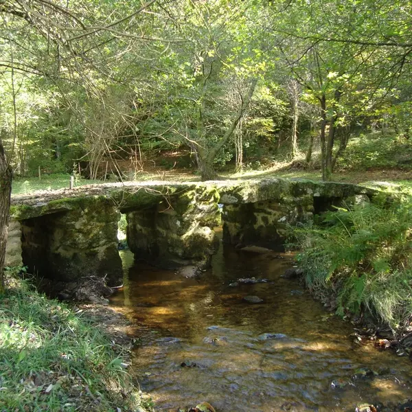 Pont médiéval dit romain_2