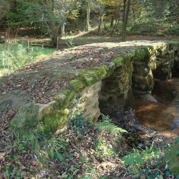 Pont médiéval dit romain_3