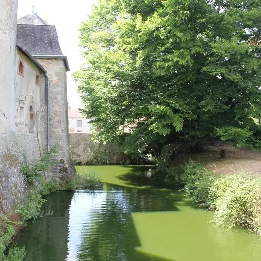 Château de Fromental_4