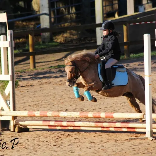 Haras Valdor_4