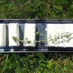 Une chèvre sur un mur_3