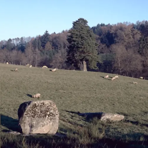 Menhirs du Métayer_3
