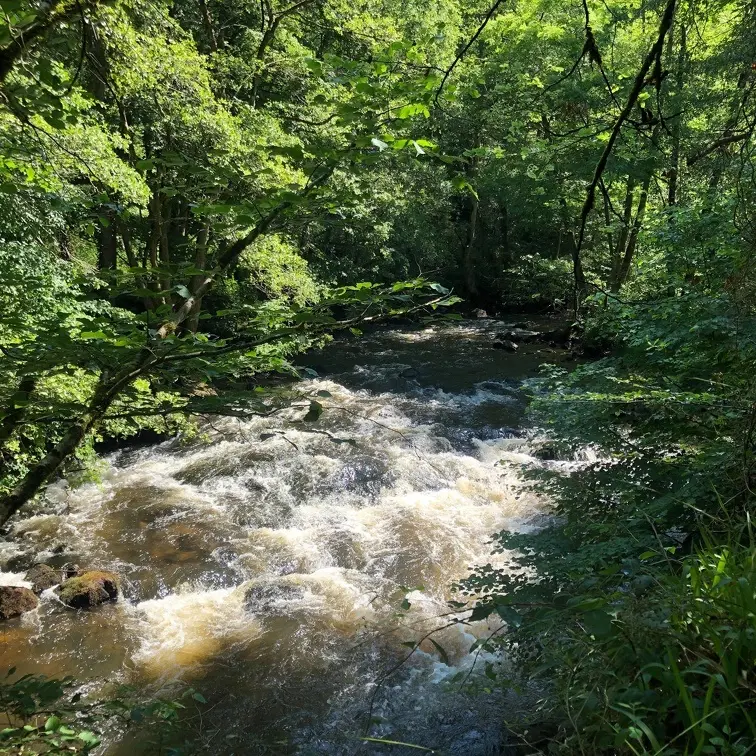 Les Gorges de la Vienne_3