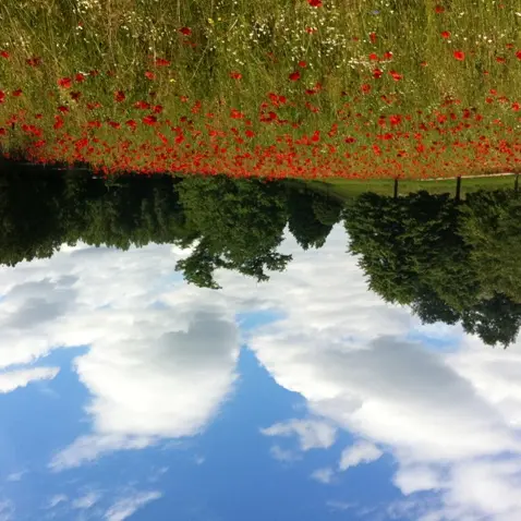 Jardin en Mouvement - Promenade Gilles Clément_2