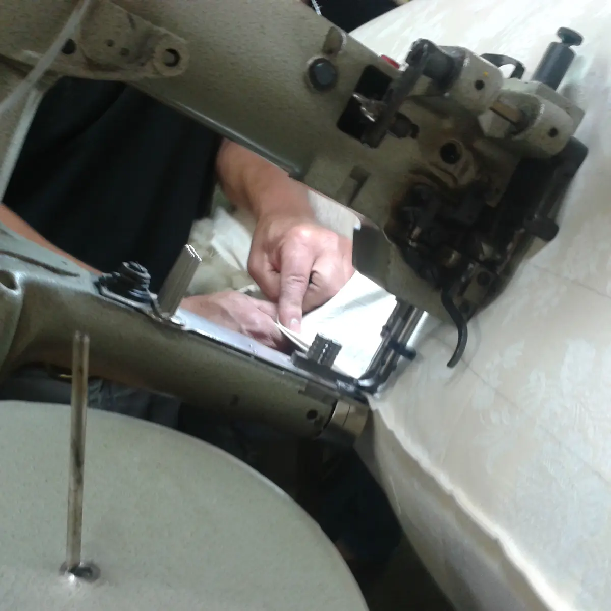 Visite d'entreprise Laine et Compagnie à Château-Chervix_1